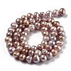 Natural Cultured Freshwater Pearl Beads Strands PEAR-L033-05B-01-3
