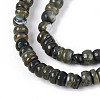 Natural Freshwater Shell Dyed Beads Strands SHEL-T020-29A-01-3