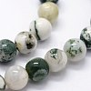 Natural Tree Agate Beads Strands X-G-I199-03-4mm-3