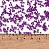 Baking Paint Glass Seed Beads SEED-S042-05B-73-4