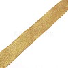 Polyester Ribbons OCOR-WH0064-75D-1