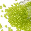 TOHO Round Seed Beads X-SEED-TR08-0004F-1