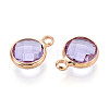 Golden Tone Brass Glass Charms GLAA-ZX008-24I-G-2