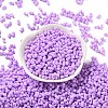 Rubberized Style Glass Seed Beads SEED-Z003-01F-2