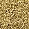 8/0 Glass Seed Beads X-SEED-A017-3mm-1115-2