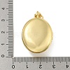 Brass Cubic Zirconia Locket Pendants KK-N254-93F-G-3