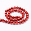 Shell Pearl Bead Strands BSHE-L026-08-8mm-2