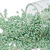 TOHO Round Seed Beads SEED-XTR11-PF0570-1