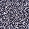 MIYUKI Delica Beads SEED-X0054-DB1789-2