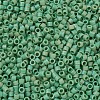 MIYUKI Delica Beads X-SEED-J020-DB0877-3