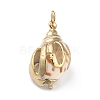 Natural Spiral Shell Pendants BSHE-B003-01G-2