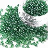 8/0 Glass Seed Beads SEED-US0003-3mm-107-1