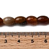 Natural Petrified Wood Beads Strands G-K362-I12-02-5