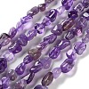 Natural Amethyst Beads Strands G-P497-01C-21-1