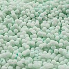 Macaron Color Opaque Frosted Glass Seed Beads X1-SEED-K009-12B-07-3