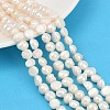 Natural Cultured Freshwater Pearl Beads Strands PEAR-P064-20B-01A-1