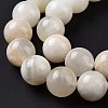 Natural White Moonstone Beads Strands G-F674-08-10mm-01-5