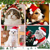 Polyester Pet Clothes Sets AJEW-WH20020-399-5