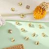 Preciosa® MAXIMA Crystal Fancy Stones X-PRC-FA6-80100-3
