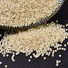 MIYUKI Delica Beads X-SEED-J020-DB1560-1