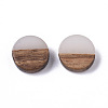 Resin & Wood Cabochons RESI-S358-70-H1-1