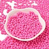 6/0 Opaque Baking Paint Glass Seed Beads SEED-M012-02A-22-2