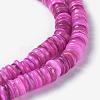 Natural Freshwater Shell Beads Strands BSHE-I016-04D-3