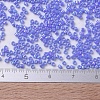 MIYUKI Delica Beads X-SEED-J020-DB0167-4