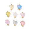 8Pcs Transparent Acrylic Pendants PALLOY-JF04341-02-1