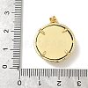 Brass Resin Pendants KK-H079-02A-G02-3