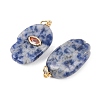 Natural Blue Spot Jasper Pendants G-Z134-05D-2