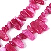Dyed Natural Quartz Beads Strands G-Q606-24A-10-1