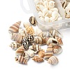 5 Styles Mixed Natural Shell Beads SSHEL-YW0001-03-2