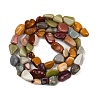 Natural Alashan Agate Beads Strands G-Q060-D19-02-3