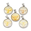 Natural Yellow Shell Carved Moth Pendants KK-D537-04P-01-1