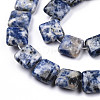 Natural Blue Spot Jasper Beads Strands G-N326-140G-3