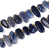 Natural Blue Aventurine Beads Strands G-Z091-A43-4