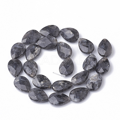 Natural Labradorite Beads Strands G-S292-17-1