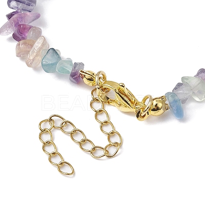 Natural Fluorite Chip Beaded Necklace NJEW-JN04616-11-1