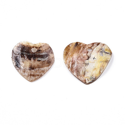 Natural Akoya Shell Pendants SHEL-N026-200-1
