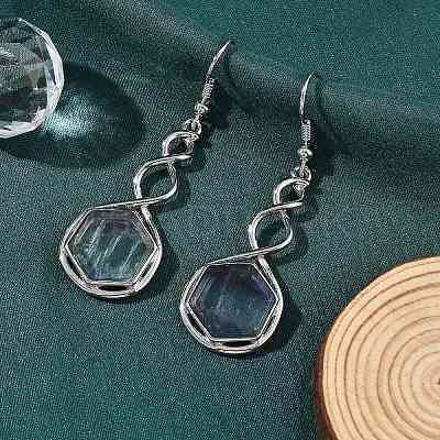 Hexagon Natural Fluorite Dangle Earrings EJEW-K298-01P-10-1
