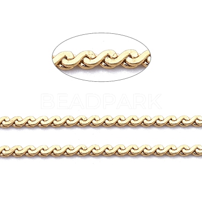 3.28 Feet 304 Stainless Steel Serpentine Chains X-CHS-F011-12A-G-1