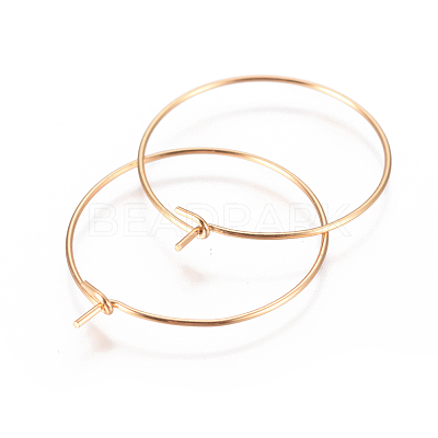 304 Stainless Steel Hoop Earrings Findings STAS-I120-60B-G-1
