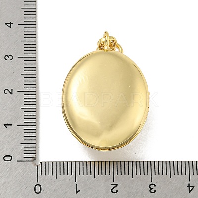 Brass Cubic Zirconia Locket Pendants KK-N254-93F-G-1