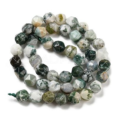 Natural Tree Agate Beads Strands G-C085-A03-01-1