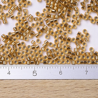 MIYUKI Delica Beads SEED-X0054-DB0181-1