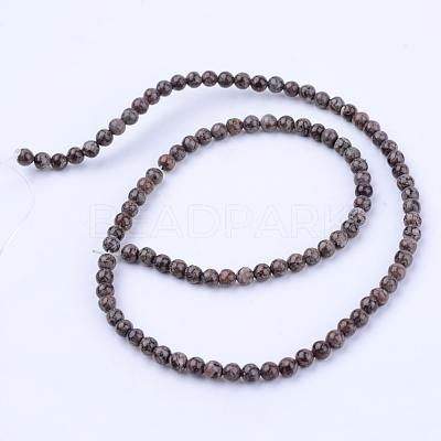 Natural Snowflake Obsidian Beads Strands X-G-Q462-6mm-37-1