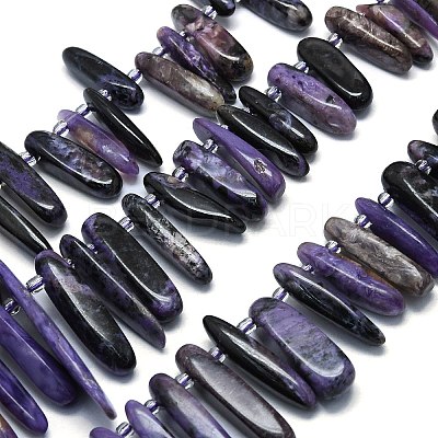 Natural Charoite Beads Strands G-G106-J05-01-1