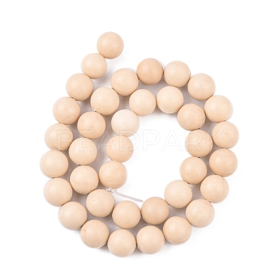 Natural Fossil Beads Strands X-G-E110-10mm-2-1