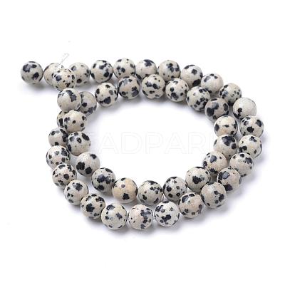 Natural Dalmatian Jasper Bead Strands G-R345-10mm-51-1